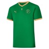 Goedkope Palmeiras Copa Rio 70th Jubileum Thuisshirt 2021-22
